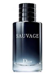 Dior Sauvage Eau de Toilette